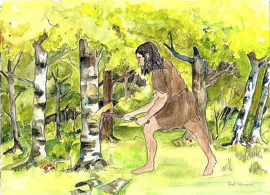 Mesolithic Shell Middens